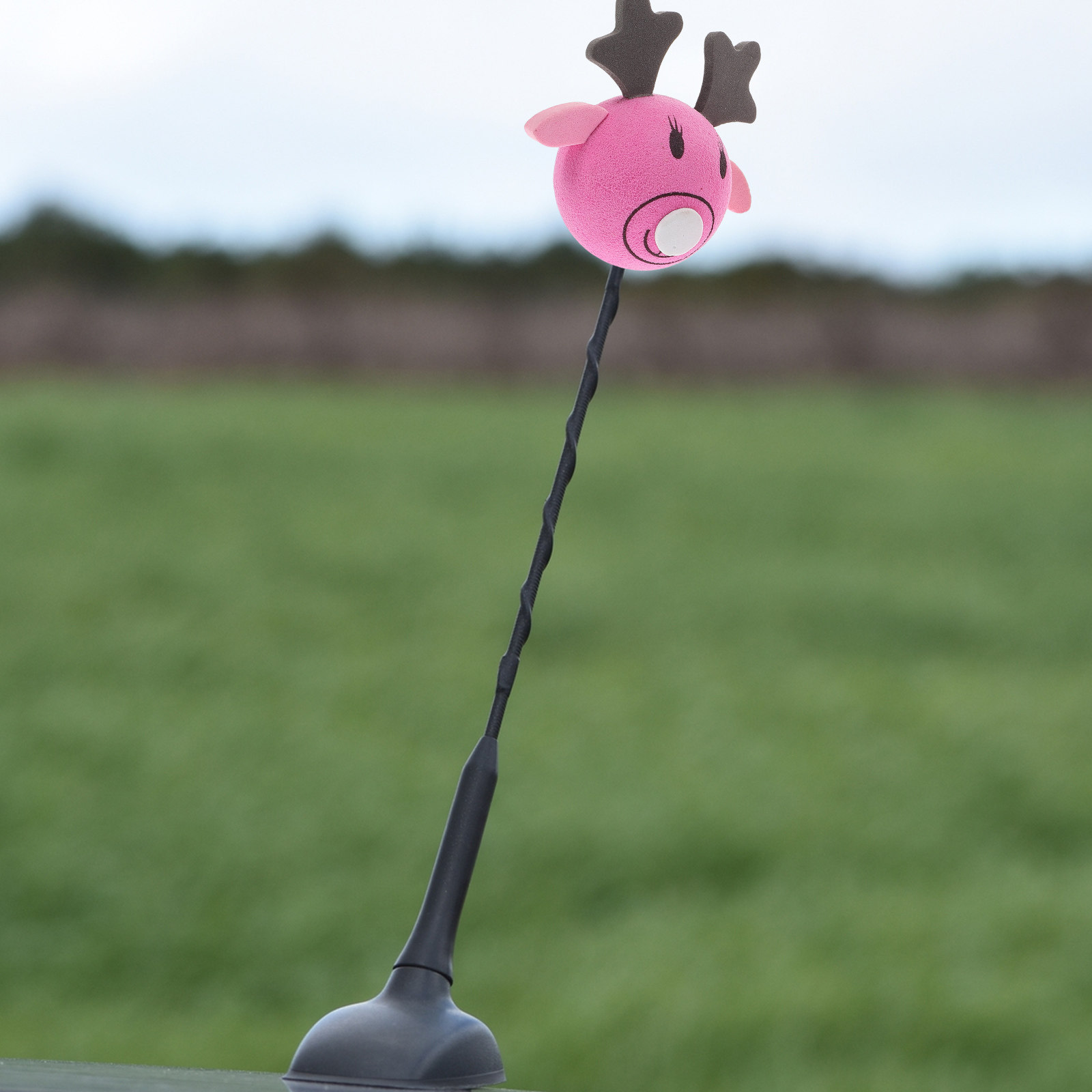 2Pcs Car Antenna Ball Unique D - Car Accessories Unique ulasan dan harga