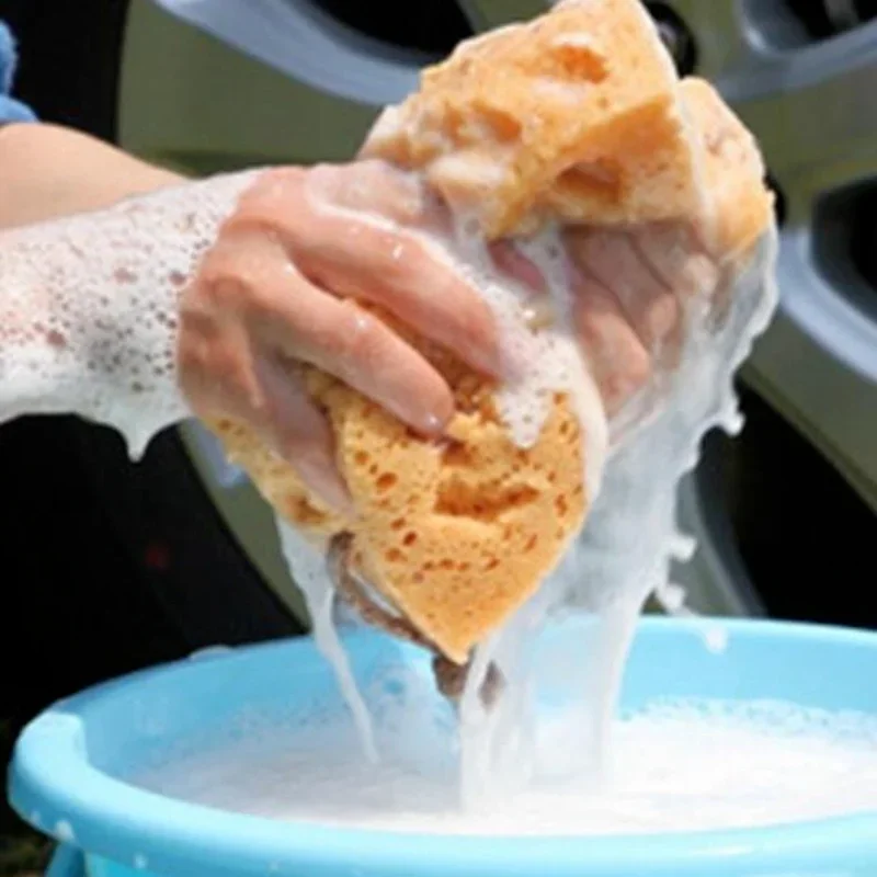 Car Washing Sponge Large Honey - Car Detailing Brush ulasan dan harga