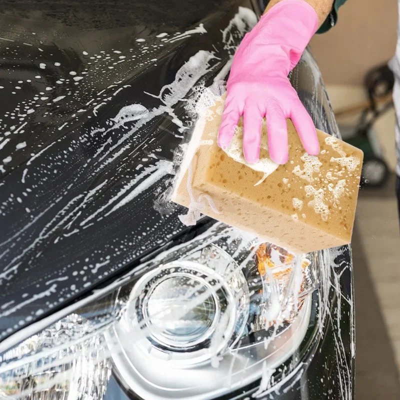 Car Washing Sponge Large Honey - Car Detailing Brush ulasan dan harga