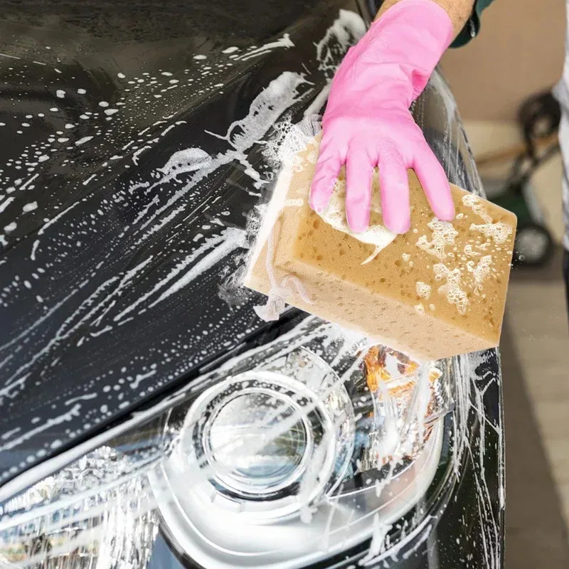 Car Washing Sponge Large Honey - Car Detailing Brush ulasan dan harga