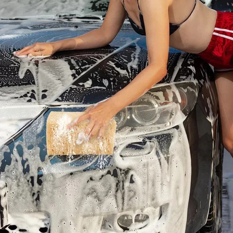 Car Washing Sponge Large Honey - Car Detailing Brush ulasan dan harga